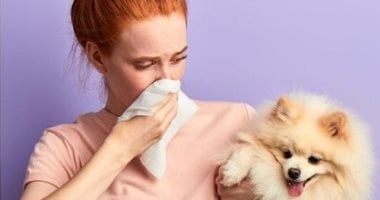 العالمي : 
                                            شركة أمريكية تطلب موظفا لشم أنفاس الكلاب مقابل 25 دولارا فى الساعة
                                        
