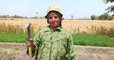فى عيد العمال.. "المرأة الريفية" نساء لا تعرف المستحيل.. قصة كفاح "صباح" صاحبة الـ67 عاما فى غيطان الشرقية.. تعزق فى الأرض بالفأس.. تحصد سنابل الخير بأجر يومى من أجل الرزق الحلال لتربية أبنائها.. وأمنيتها الحج الست صباح وشهرتها سمسمة