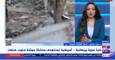 أستاذ علاقات دولية: 60% من السفن غيرت طريقها بسبب هجمات الحوثيين مداخلة رامي عاشور أستاذ العلاقات الدولية