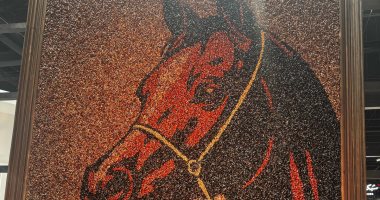 شاهد أكبر لوحة فنية فى العالم مكونة من نواة التمر بمعرض أبو ظبى للكتاب