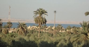 العالمي : 
                                            محتار تقضى الويك إند فين.. 5 أنشطة مبهجة فى قرية تونس بالفيوم
                                        