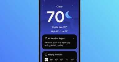 الشبكة نيوز : 
                                            تحديث لتطبيق Pixel Weather يساعد مرضى جيوب الأنفية على مراقبة الطقس
                                        