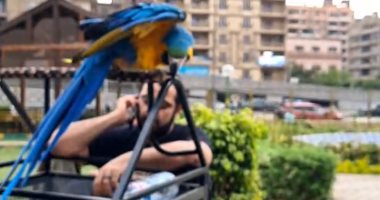 عالم الطيور العجيب في حديقة ابن سندر.. كل ما يخطر ببالك وأكثر.. فيديو