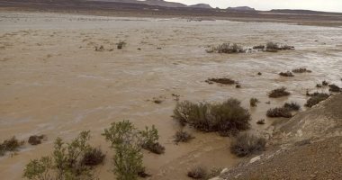 سيول محدودة بلا خسائر تضرب مناطق مركز الحسنة بوسط سيناء.. صور جانب من السيول