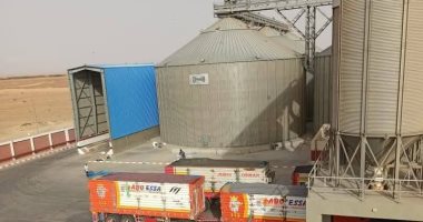 محافظ الوادى الجديد: توريد 209 آلاف طن قمح للصوامع حتى الآن