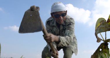 رحمة ربنا واسعة وماشي بنور الله.. عم متولي أيوب الأرض فلاح بريمو.. فيديو الفلاح المصرى