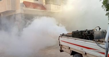 استمرارا لحماية صحة المواطنين.. جهود مكثفة لمكافحة ناقلات الأمراض بالعريش