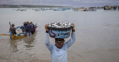 التقلبات المناخية فى إندونيسيا تضرب حركة صيد الأسماك صيد الأسماك