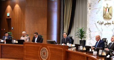 مجلس الوزراء: توريد 1.4 مليون طن قمح حتى الآن.. وصرف 3 مليارات بمحصول القطن