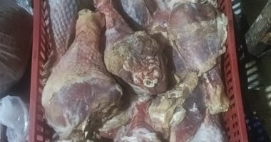 محافظة الجيزة تضبط 18.5 طن لحوم وأسماك مملحة فاسدة فى الجيزة ضبط لحوم ودواجن فاسدة في الجيزة