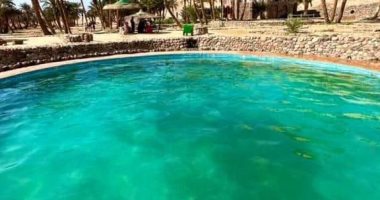 سيناء.. كنز السياحة العلاجية والاستشفاء.. حمام فرعون مركز واعد للعلاج الطبيعى.. وحمام موسى فيه شفاء من الروماتيزم.. وبئر أبو مرير وعيون تراقى إمكانات واعدة للاستثمار.. والأعشاب الطبية صيدلية طبيعية تجذب السياح