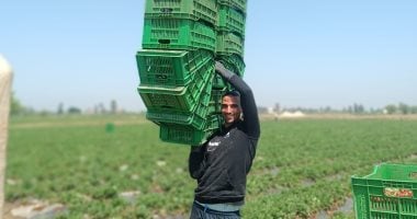 الحلم نيوز : 
                                            عامل باليومية صباحا ولاعب طائرة مساء.. نجم الاتحاد يواجه الحياة بكفّين من العطاء
                                        