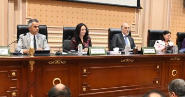 الحماية الاجتماعية تحصل على نصيب الأسد من موازنة 25/26.. تضامن النواب توافق على خطة التضامن الجديدة.. 46 مليار جنيه للمنح الاجتماعية.. الوزيرة: مصر من أنجح دول الشرق الأوسط بالملف.. والنواب يشكرون الرئيس لجنة التضامن بمجلس النواب