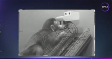 أحمد فايق يروي تجارب العلماء لمعرفة السلوك الإنساني: "الابن يحتاج حضن أبويه"