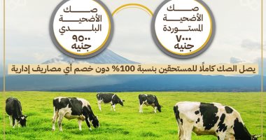 اليوم انطلاق حملة صكوك الأضاحى 7 آلاف للمستورد و9500 للبلدى حملة صكوك الأضاحي