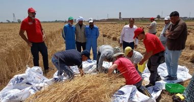 بحوث الهندسة الزراعية يختبر أحدث آلات الحصاد الذكي بالتعاون مع هيئة التعاون الدولي الإيطالية بحوث الهندسة الزراعية يختبر أحدث آلات الحصاد الذكي