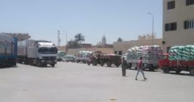 محافظ المنيا: شون وصوامع المحافظة استقبلت 230 ألف طن من القمح توريد القمح