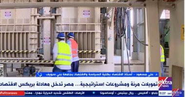 أستاذ اقتصاد: تمويل بنك التنمية لمشروعات في مصر دلالة على نجاح خطوات الحكومة