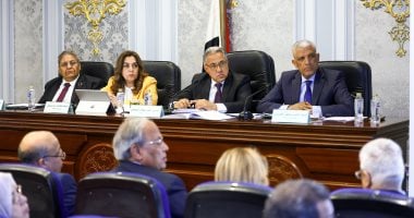 وزيرة التنمية المحلية: نولى اهتماماً كبيراً لتشجيع الاستثمار ودعم دور القطاع الخاص لجنة الإدارة المحلية بمجلس النواب