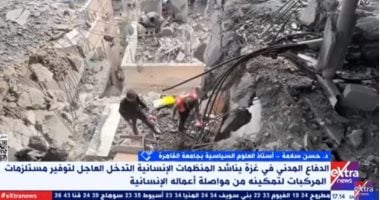 أستاذ علوم سياسية: العدوان الإسرائيلى على غزة يستهدف المواطن الفلسطينى الدكتور حسن سلامة، أستاذ العلوم السياسية بجامعة القاهرة