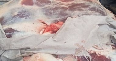 حملة تفتيشية للطب البيطرى بسوهاج تضبط لحومًا غير صالحة للاستهلاك اللحوم المضبوطة