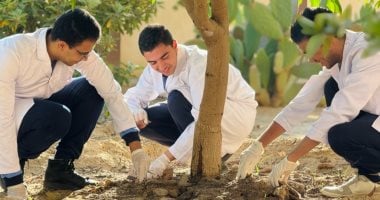 التكنولوجيا فى خدمة الصحة المجتمعية.. شباب مصريون ينقذون حياة 700 ألف مريض فى 9 دول من خلال منصة رقمية ذكية للتشخيص الطبى عن بعد.. وطلاب مدرسة بالعبور يتوصلون لتقنية زراعية لمواجهة تحديات ندرة المياه مبادرة شبابية شباب مصريون يصنعون التغيير