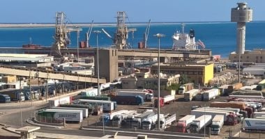 تداول 14 ألف طن 916 شاحنة بضائع عامة ومتنوعة بموانئ البحر الأحمر موانئ البحر الأحمر