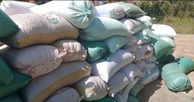 ضبط 50 طن قمح بمخزن حبوب غير مرخص بالباجور في المنوفية حبوب