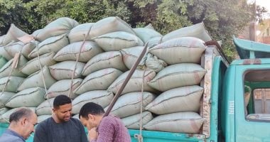 شون وصوامع المنيا تستقبل 266 ألف طن من القمح ضمن موسم توريد 2025 شون وصوامع المحافظة