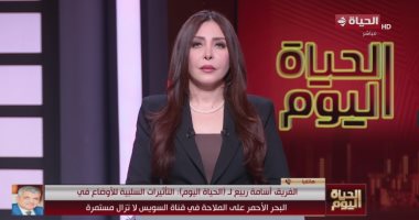 أسامة ربيع: خاطبنا التوكيلات الملاحية وقدمنا حوافز لجذب السفن لقناة السويس الفريق أسامة ربيع رئيس هيئة قناة السويس