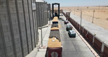 فرحة الخير في الوادي الجديد.. صوامع المحافظة تستقبل بشائر القمح صوامع الوادى الجديد تستقبل الأقماح