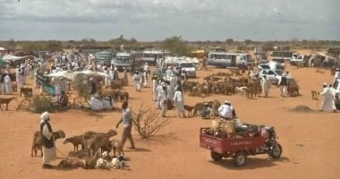 نزوح أكثر من 7 آلاف أسرة من مدينتي النهود والخوى غرب كردفان بالسودان سوق الخوي _ أرشيفية