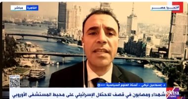خبير: القضية الفلسطينية إنسانية بامتياز ومسؤولية دول العالم لحماية المدنيين العزل الدكتور إسماعيل تركى أستاذ العلوم السياسية