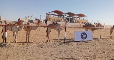كل الطرق تؤدى إلى الوادى الجديد.. نادى الهجن الدولى بالخارجة يستعد لفعاليات دولية مرتقبة.. مضمار بطول 5 كيلو ومنصة رئيسية وأخرى للجمهور وقرية تراثية.. ومستشار رئيس الجمهورية للتنمية المحلية يشيد بالخدمات.. صور تنفيذ مشروع نادى الهجن الدولي فى وقت قياسي