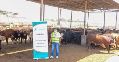 دار الإفتاء توضح حكم الشرع في صك الاضحية؟ الأضاحى