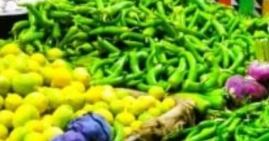 نيوز برو : 
                                            أسعار الخضروات بأسواق الشرقية اليوم الأربعاء 14 مايو.. الطماطم ب 10 جنيهات
                                        