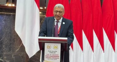 وكيل مجلس النواب: القضية الفلسطينية تمر بمنعطف خطير