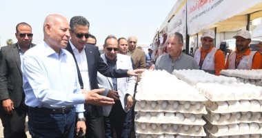 طرح بيض المائدة بسوق اليوم الواحد بمدينة نصر ضمن المرحلة الثانية.. تفاصيل طرح بيض المائدة بسوق اليوم الواحد