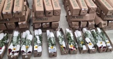 الحلم نيوز : 
                                            ورد بالكوكايين .. ضبط 130 ألف جرعة وسط شحنة زهور متجهة إلى هولندا
                                        