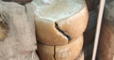 ضبط 14 طن مواد غذائية فاسدة قبل تداولها بأسواق دمياط