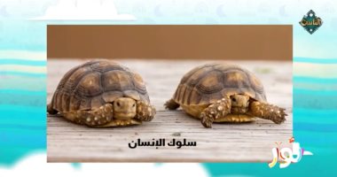 "نور" المذاع على قناة الناس يعلم الأطفال: تغير المناخ يهدد بعض الحيوانات بالانقراض برنامج نور