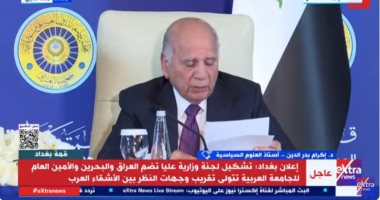 أستاذ علوم سياسية: هناك تحدى وجودى للدول العربية سيدفعها لمزيد من التنسيق الدكتور إكرام بدر الدين أستاذ العلوم السياسية