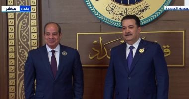 السيد الرئيس عبد الفتاح السيسي