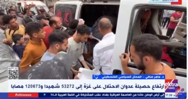 خبير فلسطينى: إسرائيل ترى أن توسعة العملية العسكرية الوسيلة الوحيدة بالنسبة لها