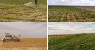 البحث العلمي: إطلاق المرحلة الثانية من المزرعة البحثية النموذجية بالمغرة