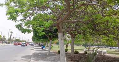 تعرف على حالة الطقس اليوم الأحد 18-5-2025 فى الإسماعيلية.. فيديو طقس الإسماعيلية
