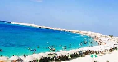 نيوز برو : 
                                            4 أبراج بتخلي تجمعات العيلة في المصيف لها طعم.. يحبوا الضحك واللعب 
                                        