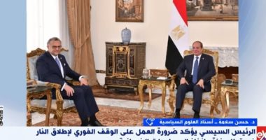 أستاذ علوم سياسية: مصر ركيزة الأمن والاستقرار الإقليمي
