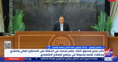خبير: نشهد زيادة فى تدفق الاستثمار الأجنبى رغم التوترات بالمنطقة صورة من المداخلة