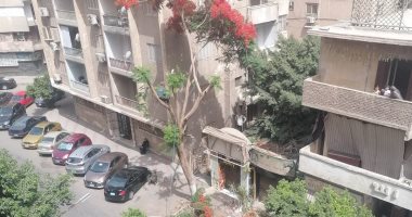 شكاوى من قطع الأشجار فى شارع إيران بالدقي.. صور قطع الأشجار فى شارع إيران بالدقي